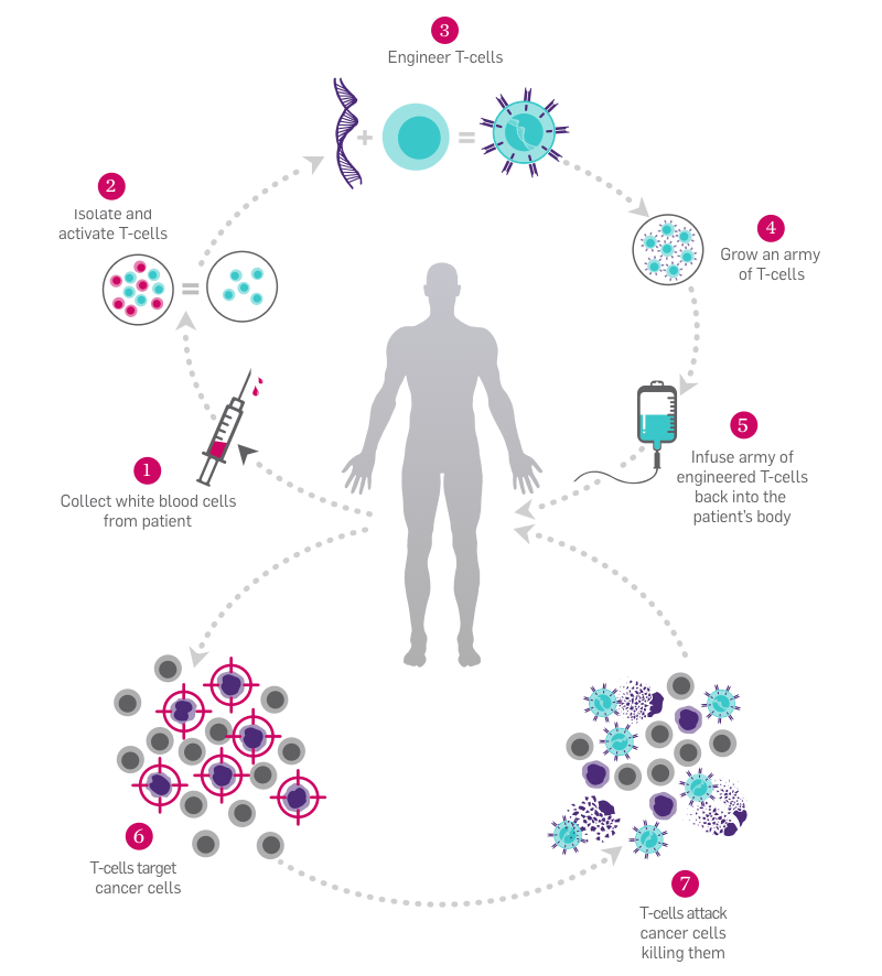 Why Cancer Immunotherapy | Parker Institute For Cancer Immunotherapy