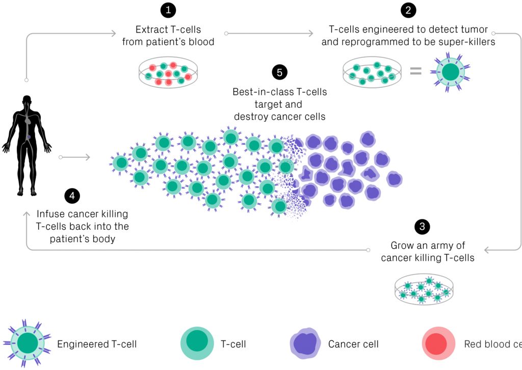 CAR-T And Cell Therapy: The Next Wave | Parker Institute For Cancer ...