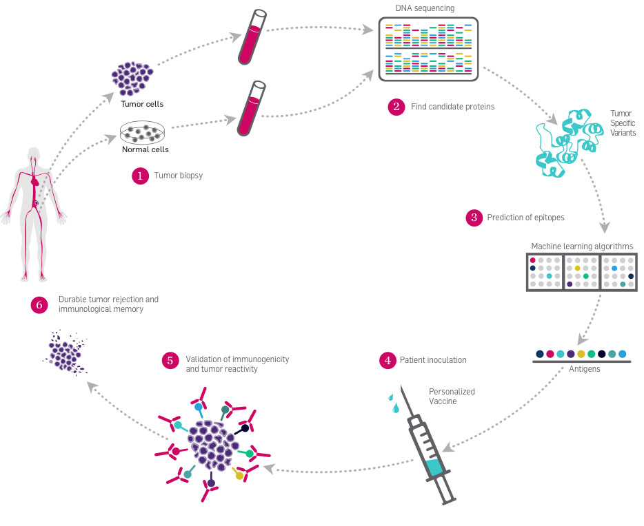 Tumor Antigen Discovery Parker Institute for Cancer Immunotherapy