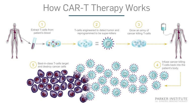 car t patient journey