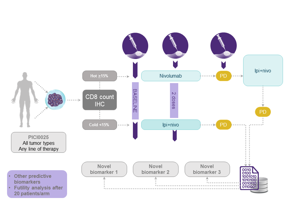 Searching For Multiple Biomarkers To Improve Cancer Patient Response To ...